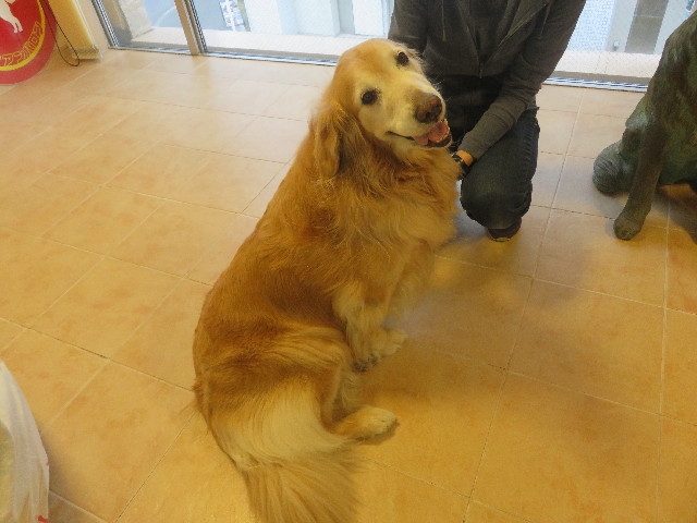 ファイル 5679-4.jpg