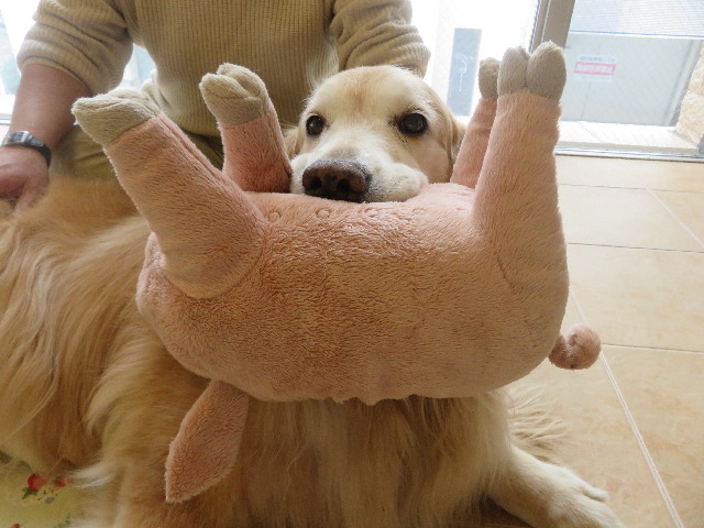 ファイル 5684-1.jpg