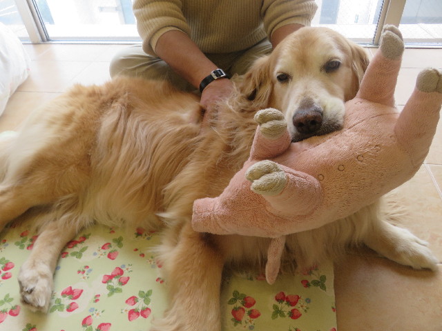 ファイル 5684-2.jpg