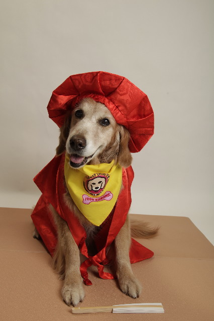 ファイル 5685-1.jpg