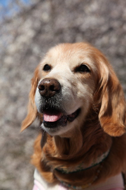 ファイル 5685-3.jpg