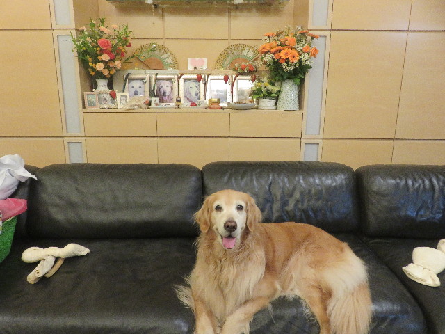 ファイル 5686-1.jpg