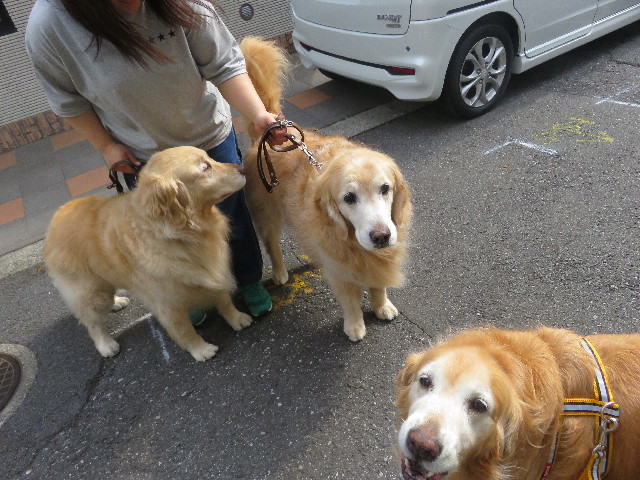 ファイル 5687-1.jpg