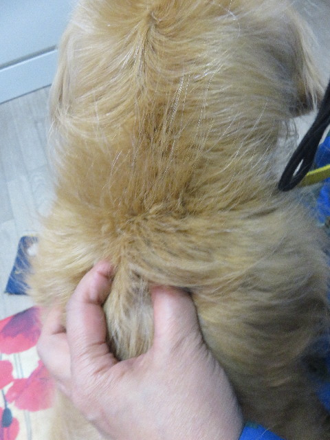 ファイル 5687-3.jpg