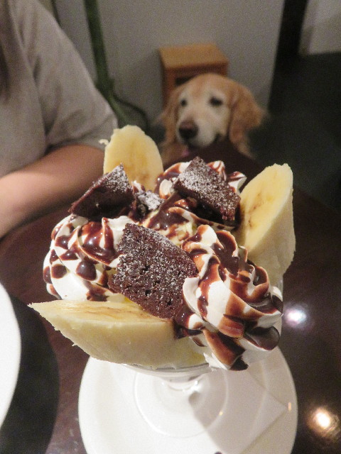 ファイル 5687-5.jpg