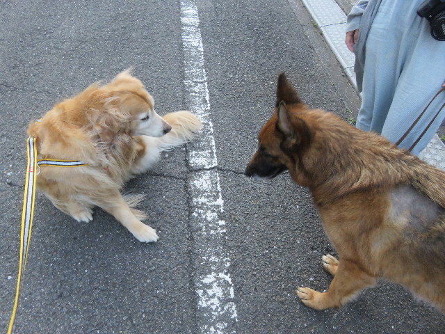 ファイル 5688-1.jpg