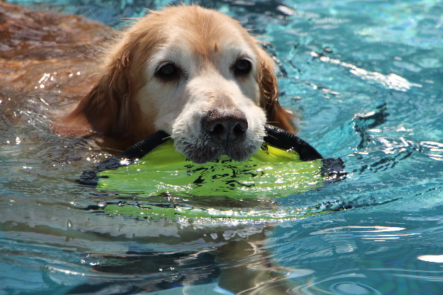 ファイル 5689-1.jpg