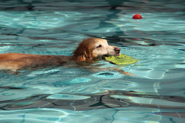 ファイル 5689-2.jpg