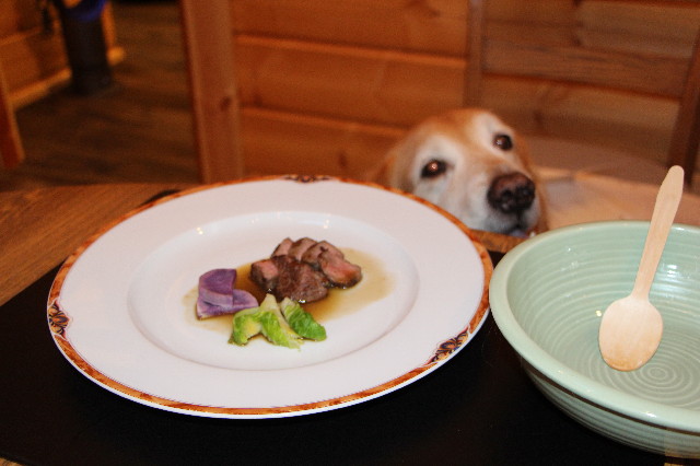 ファイル 5689-4.jpg