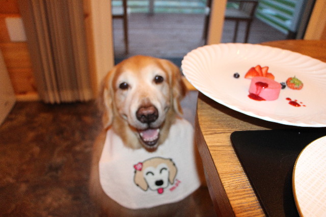 ファイル 5689-5.jpg