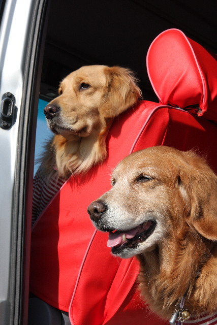 ファイル 569-4.jpg