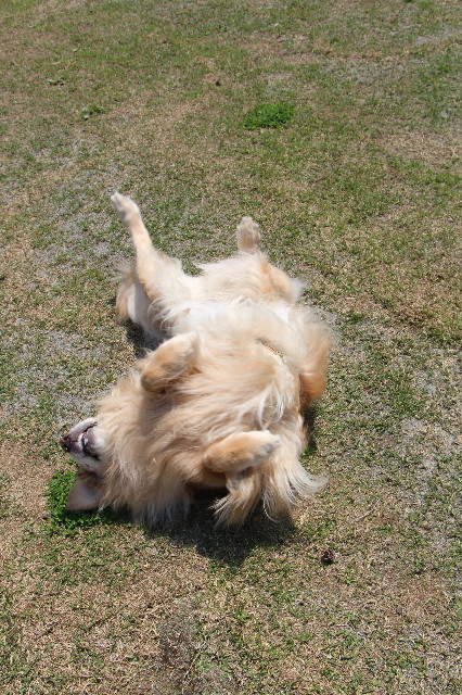 ファイル 5690-2.jpg