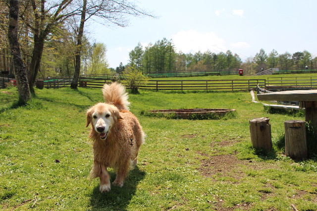 ファイル 5690-4.jpg