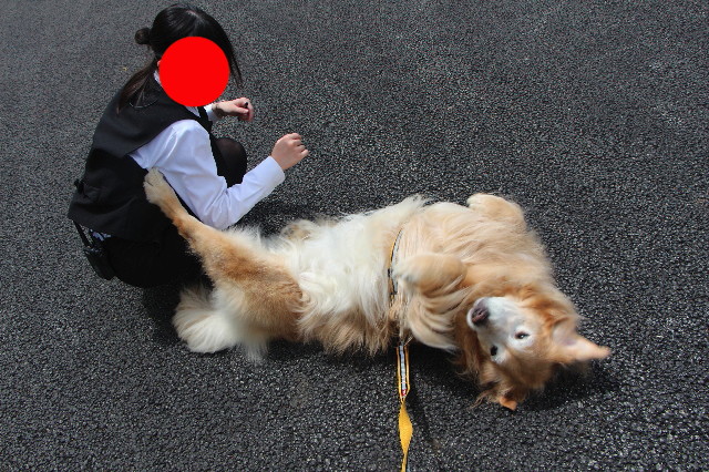 ファイル 5692-1.jpg