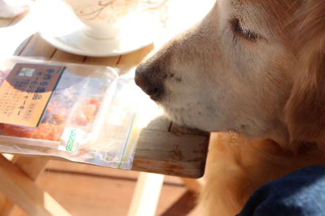 ファイル 5692-3.jpg