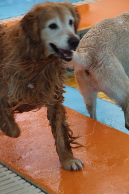 ファイル 5692-4.jpg