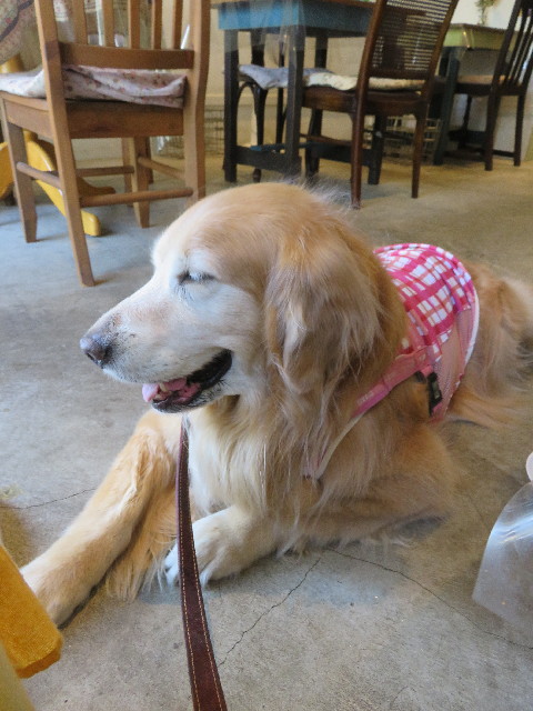 ファイル 5693-5.jpg