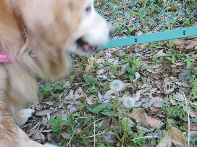 ファイル 5695-4.jpg