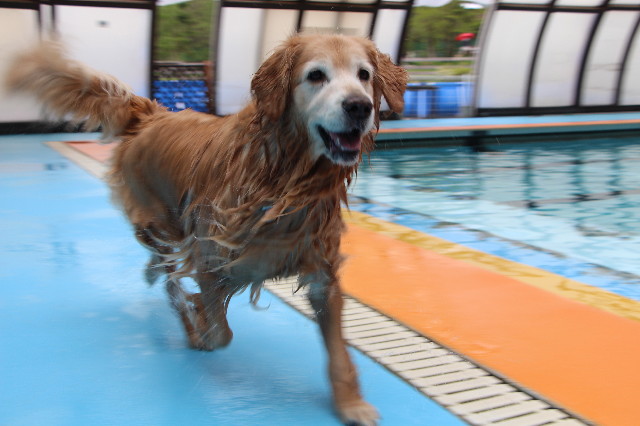 ファイル 5696-2.jpg