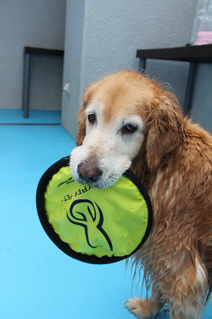 ファイル 5696-4.jpg