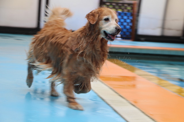 ファイル 5696-5.jpg