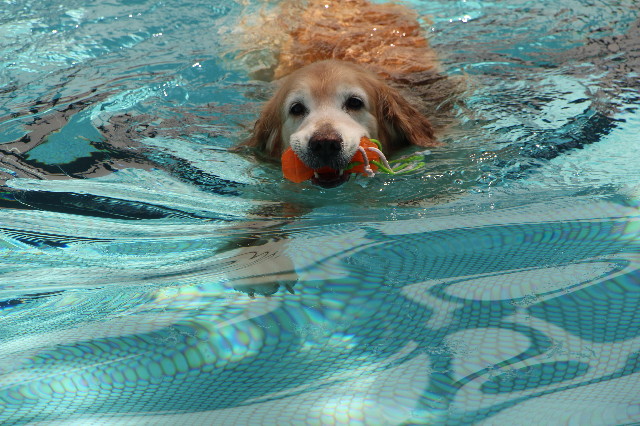 ファイル 5697-5.jpg