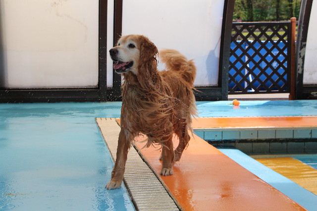 ファイル 5698-1.jpg