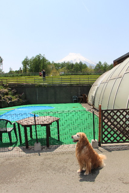 ファイル 5698-2.jpg