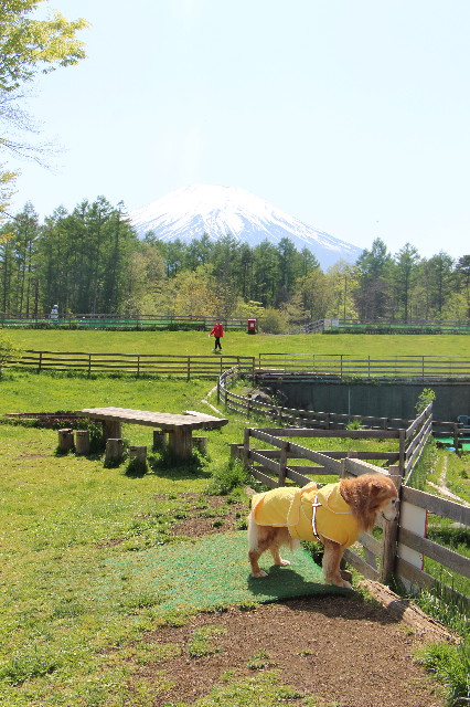 ファイル 5699-2.jpg