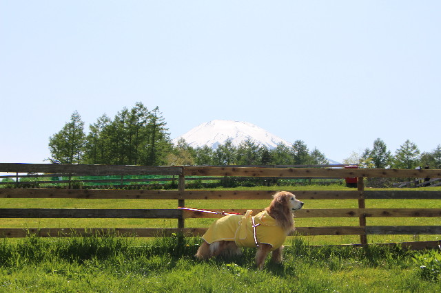 ファイル 5699-4.jpg