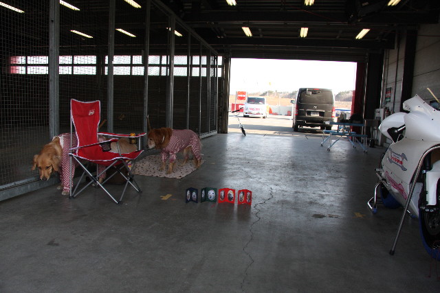 ファイル 570-3.jpg