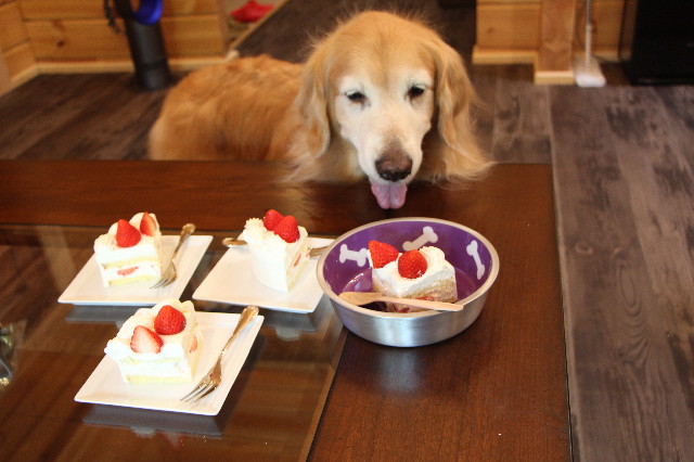 ファイル 5700-2.jpg