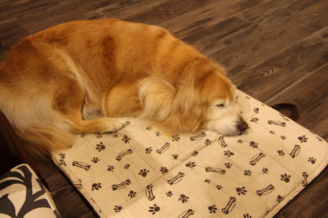 ファイル 5700-5.jpg