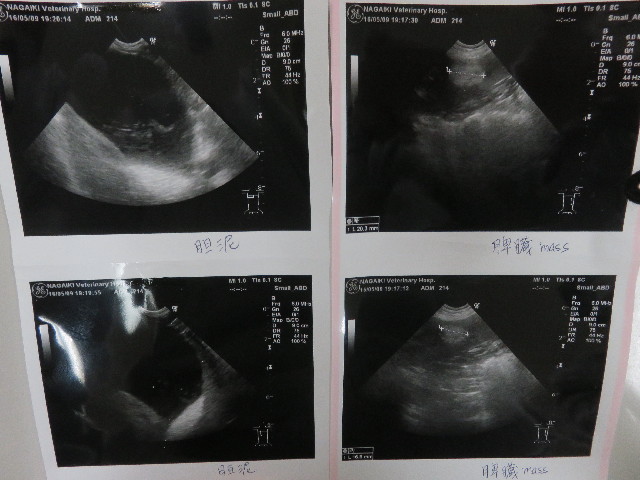ファイル 5702-5.jpg
