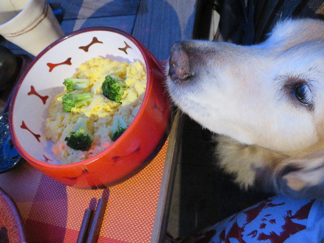 ファイル 5703-3.jpg