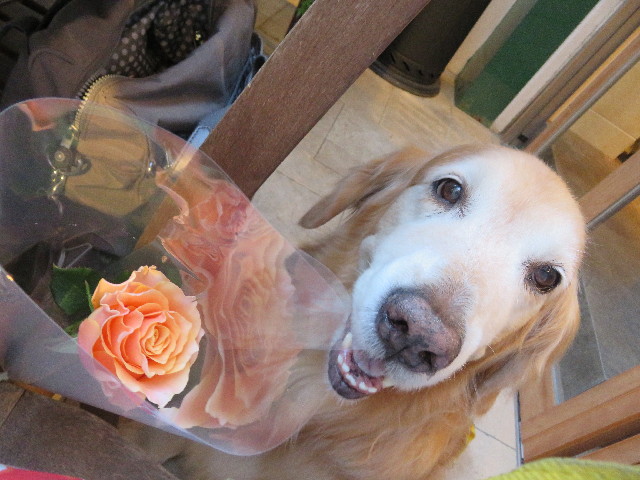 ファイル 5703-4.jpg