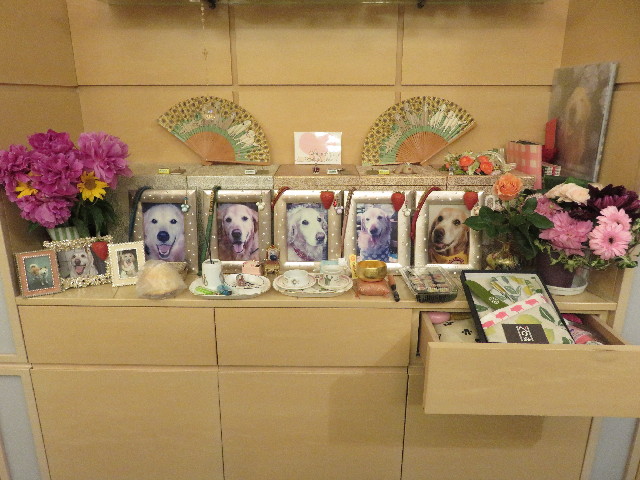 ファイル 5703-5.jpg