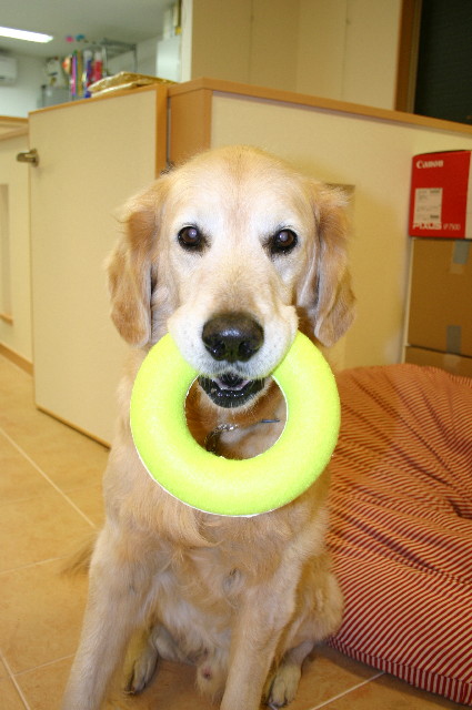 ファイル 5704-1.jpg