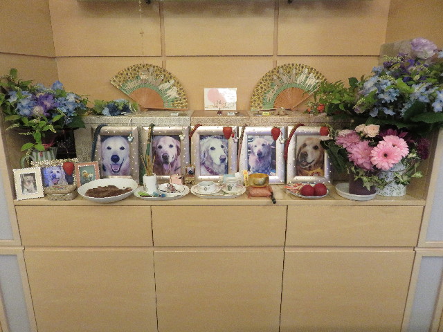 ファイル 5704-4.jpg