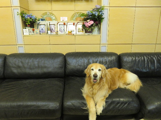 ファイル 5704-5.jpg