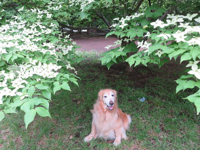 ファイル 5705-2.jpg