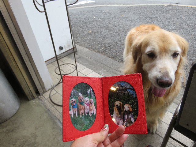 ファイル 5705-5.jpg