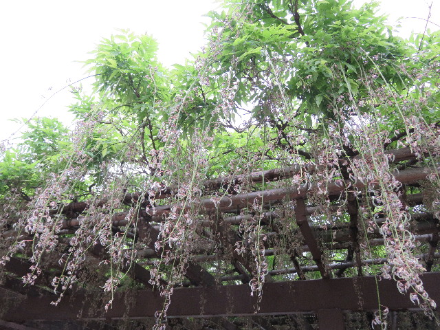 ファイル 5706-3.jpg