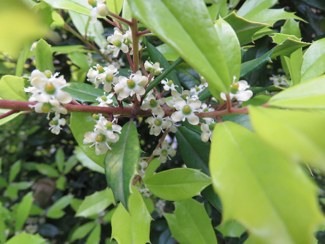 ファイル 5706-5.jpg