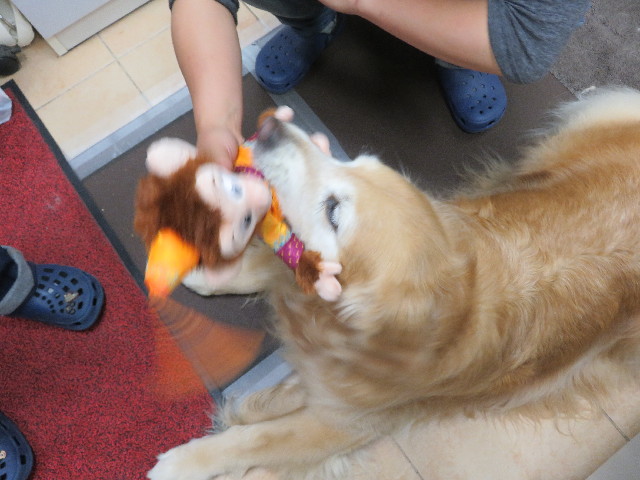 ファイル 5709-1.jpg