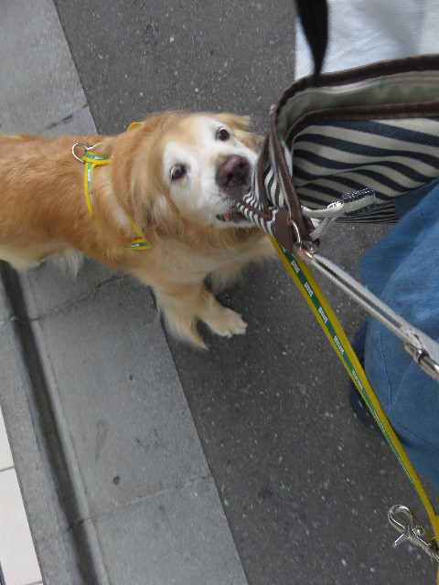 ファイル 5709-2.jpg