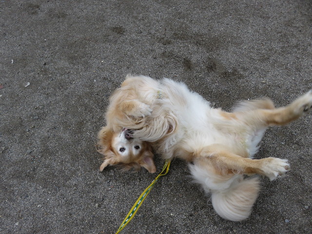 ファイル 5709-3.jpg