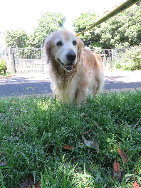 ファイル 5710-1.jpg