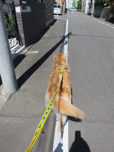 ファイル 5710-3.jpg