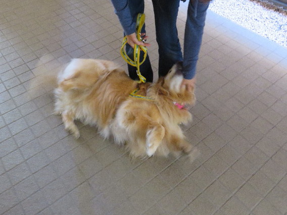 ファイル 5710-4.jpg